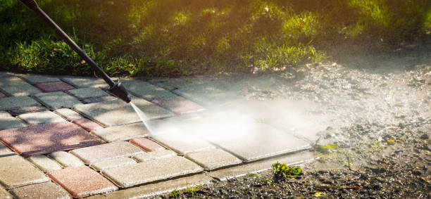 Best Animal Enclosure Cleaning  in Los Molinos, CA